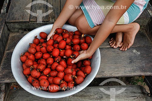  Fruit of buriti  - Manaus city - Amazonas state (AM) - Brazil