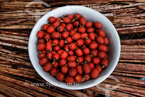  Fruit of buriti  - Manaus city - Amazonas state (AM) - Brazil