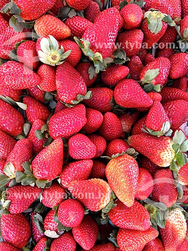  Details of strawberry  - Rio de Janeiro city - Rio de Janeiro state (RJ) - Brazil