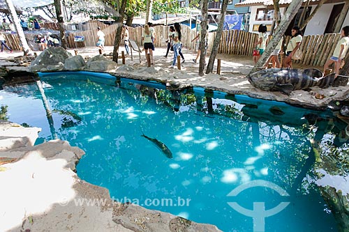  TAMAR Projects aquarium  - Mata de Sao Joao city - Bahia state (BA) - Brazil