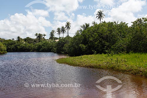  Timeantube River waterfront  - Mata de Sao Joao city - Bahia state (BA) - Brazil