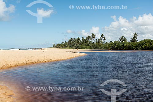  Timeantube River waterfront  - Mata de Sao Joao city - Bahia state (BA) - Brazil