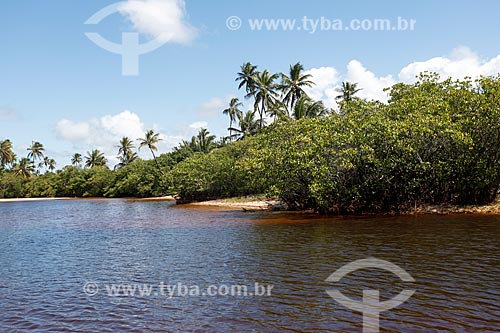  Timeantube River waterfront  - Mata de Sao Joao city - Bahia state (BA) - Brazil