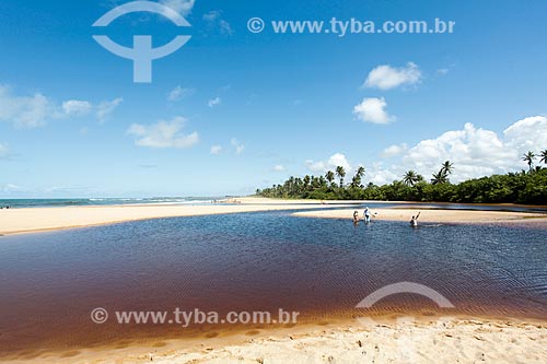  Timeantube River waterfront  - Mata de Sao Joao city - Bahia state (BA) - Brazil