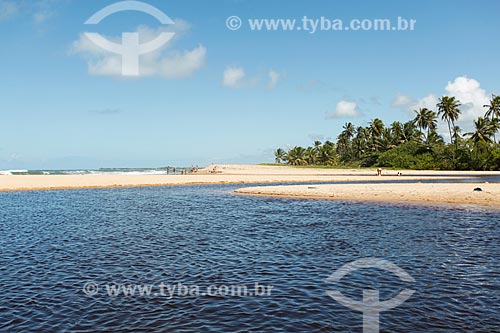  Timeantube River waterfront  - Mata de Sao Joao city - Bahia state (BA) - Brazil