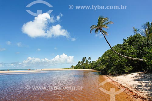  Timeantube River waterfront  - Mata de Sao Joao city - Bahia state (BA) - Brazil