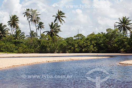  Timeantube River waterfront  - Mata de Sao Joao city - Bahia state (BA) - Brazil