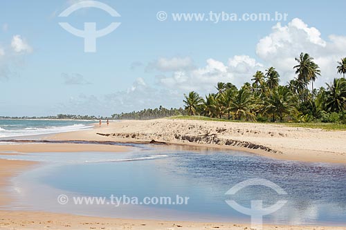  Timeantube River waterfront  - Mata de Sao Joao city - Bahia state (BA) - Brazil