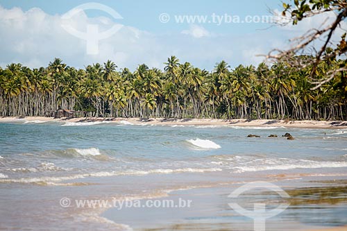  Coeira Beach  - Cairu city - Bahia state (BA) - Brazil