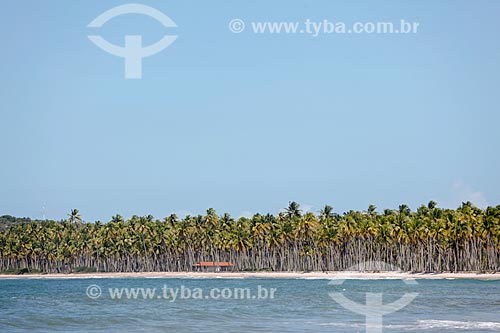  Coeira Beach  - Cairu city - Bahia state (BA) - Brazil