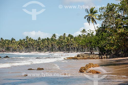  Coeira Beach  - Cairu city - Bahia state (BA) - Brazil