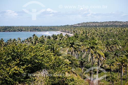 View of Coeira Beach  - Cairu city - Bahia state (BA) - Brazil