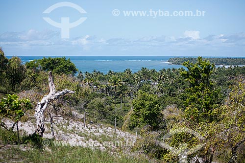  View of Coeira Beach  - Cairu city - Bahia state (BA) - Brazil