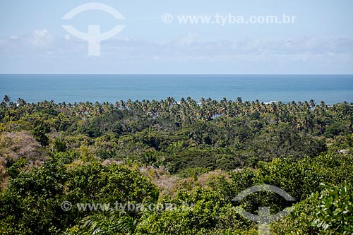  View of Boipeba Island  - Cairu city - Bahia state (BA) - Brazil