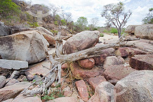  Dry river bed - Paraiba backwoods  - Cabaceiras city - Paraiba state (PB) - Brazil