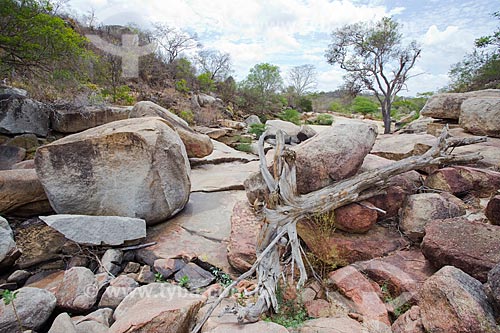  Dry river bed - Paraiba backwoods  - Cabaceiras city - Paraiba state (PB) - Brazil