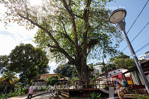  Amendoeira Square - Morro de Sao Paulo  - Cairu city - Bahia state (BA) - Brazil