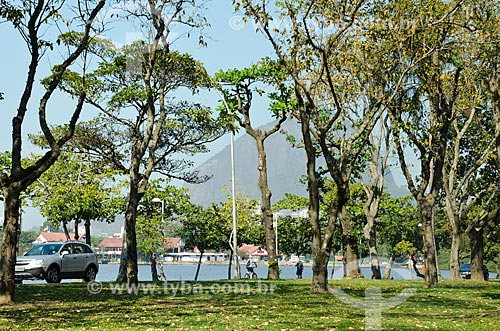  Trees on the bankd of the Rodrigo de Freitas Lagoon  - Rio de Janeiro city - Rio de Janeiro state (RJ) - Brazil