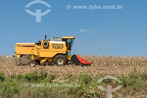  Corn mechanized harvesting  - Cornelio Procopio city - Parana state (PR) - Brazil
