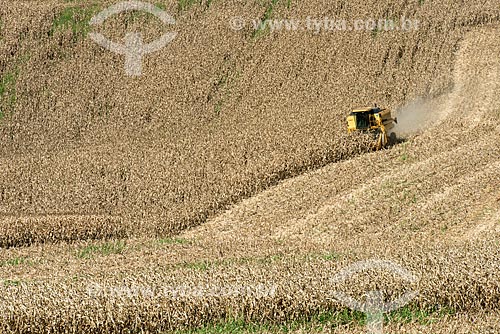  Corn mechanized harvesting  - Cornelio Procopio city - Parana state (PR) - Brazil