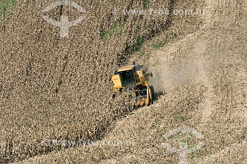 Corn mechanized harvesting  - Cornelio Procopio city - Parana state (PR) - Brazil