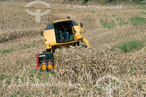  Corn mechanized harvesting  - Cornelio Procopio city - Parana state (PR) - Brazil
