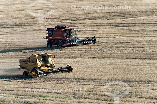  Wheat mechanized harvesting  - Nova Fatima city - Parana state (PR) - Brazil