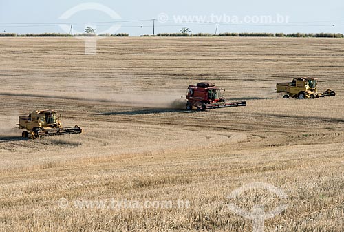  Wheat mechanized harvesting  - Nova Fatima city - Parana state (PR) - Brazil