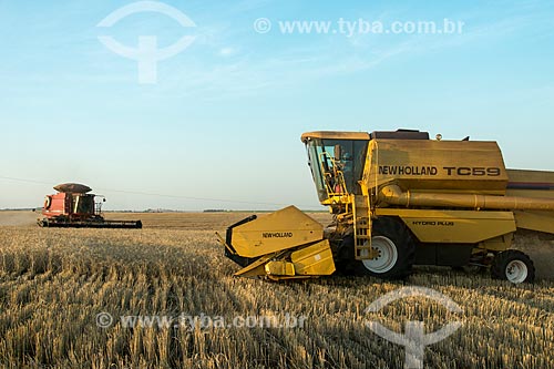 Wheat mechanized harvesting  - Nova Fatima city - Parana state (PR) - Brazil