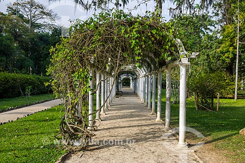  Detail of pergola - Botanical Garden of Rio de Janeiro  - Rio de Janeiro city - Rio de Janeiro state (RJ) - Brazil