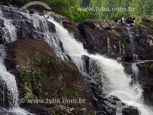  Waterfall - Parque da Cachoeira Ecological Reserve  - Canela city - Rio Grande do Sul state (RS) - Brazil