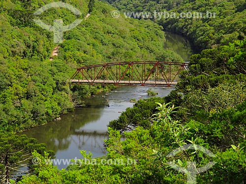  General view of the Passo do Inferno Bridge (Step of Hell Bridge) - Parque da Cachoeira Ecological Reserve  - Canela city - Rio Grande do Sul state (RS) - Brazil