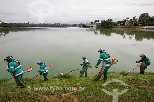  Pruning of grass on the banks of the Pampulha Lagoon  - Belo Horizonte city - Minas Gerais state (MG) - Brazil