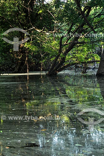  Detail of the turbid water of Cunia Lake  - Porto Velho city - Rondonia state (RO) - Brazil