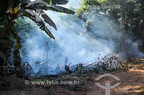  Burned - Cunia Lake  - Porto Velho city - Rondonia state (RO) - Brazil