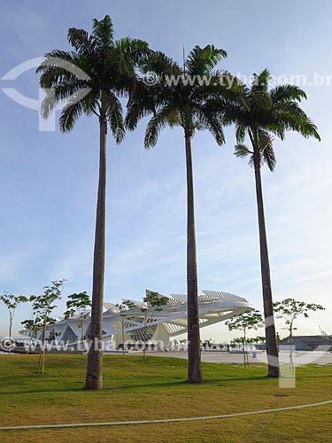  View of the Amanha Museum (Museum of Tomorrow) from Maua Square  - Rio de Janeiro city - Rio de Janeiro state (RJ) - Brazil