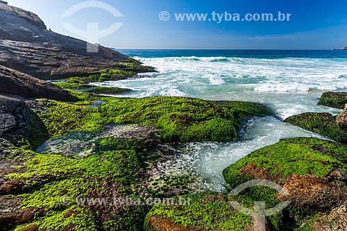  Joatinga Beach waterfront  - Rio de Janeiro city - Rio de Janeiro state (RJ) - Brazil