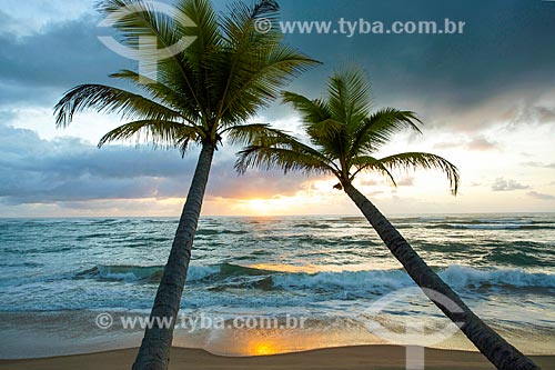  Dawn Taipus de fora beach  - Marau city - Bahia state (BA) - Brazil