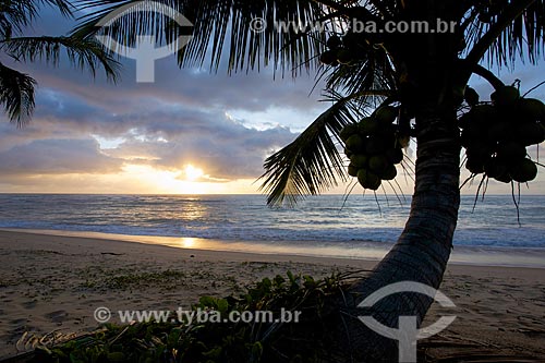  Dawn Taipus de fora beach  - Marau city - Bahia state (BA) - Brazil