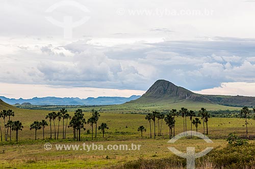  View of the Maytrea Garden from GO-239 Highway  - Alto Paraiso de Goias city - Goias state (GO) - Brazil