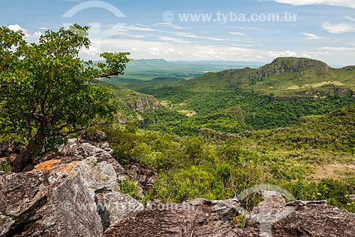  Landscape during the trail to Janela Mirante (Window Mirante) - Chapada dos Veadeiros National Park  - Alto Paraiso de Goias city - Goias state (GO) - Brazil