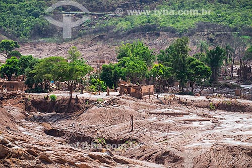  Ruins of house of Bento Rodrigues district after the dam rupture of the Samarco company mining rejects in Mariana city (MG)  - Mariana city - Minas Gerais state (MG) - Brazil