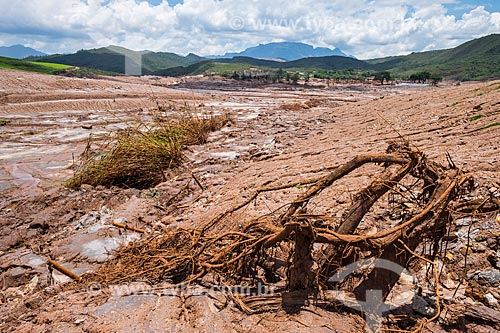  General view of Bento Rodrigues district after the dam rupture of the Samarco company mining rejects in Mariana city (MG)  - Mariana city - Minas Gerais state (MG) - Brazil