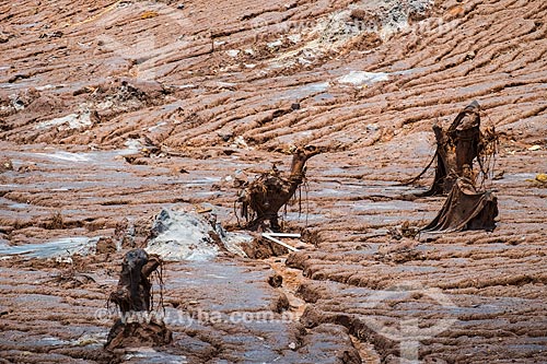  General view of Bento Rodrigues district after the dam rupture of the Samarco company mining rejects in Mariana city (MG)  - Mariana city - Minas Gerais state (MG) - Brazil