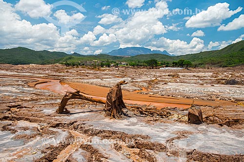  General view of Bento Rodrigues district after the dam rupture of the Samarco company mining rejects in Mariana city (MG)  - Mariana city - Minas Gerais state (MG) - Brazil