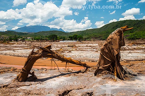  General view of Bento Rodrigues district after the dam rupture of the Samarco company mining rejects in Mariana city (MG)  - Mariana city - Minas Gerais state (MG) - Brazil