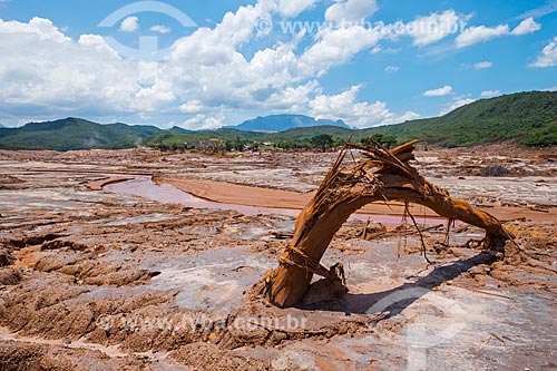  General view of Bento Rodrigues district after the dam rupture of the Samarco company mining rejects in Mariana city (MG)  - Mariana city - Minas Gerais state (MG) - Brazil