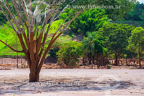  Ruins of houses of the Paracatu de Baixo district after the dam rupture of the Samarco company mining rejects in Mariana city (MG)  - Mariana city - Minas Gerais state (MG) - Brazil