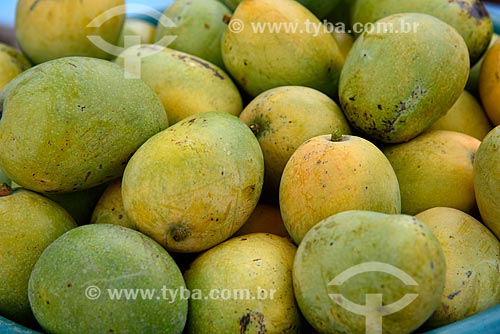  Mangoes  - Novo Airao city - Amazonas state (AM) - Brazil