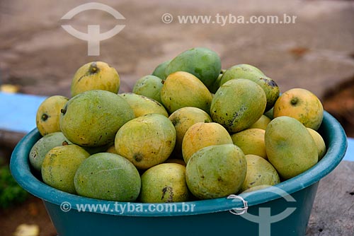  Mangoes  - Novo Airao city - Amazonas state (AM) - Brazil